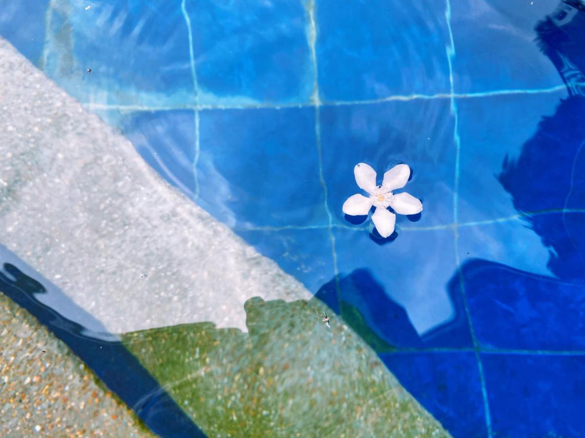 Molly Resorts 푸에르토갈레라 외부 사진